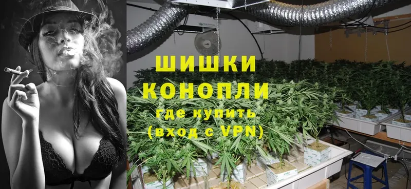 OMG онион  где купить наркотик  Касимов  площадка наркотические препараты  Конопля OG Kush 